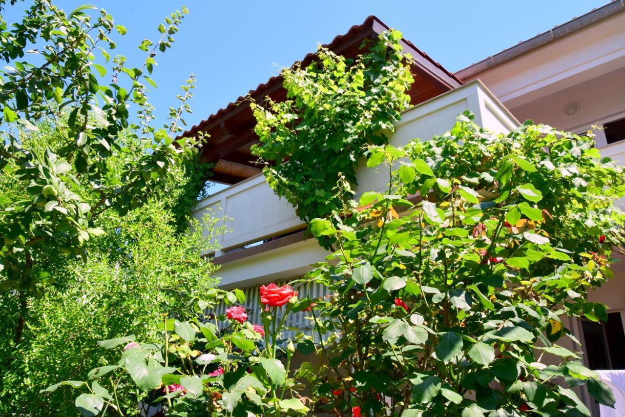 Villy City Apartment Palit Exteriör bild